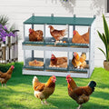 Chicken Nesting Box - 6 Compartment Chicken Laying Boxes Metal Chickens Coop | Wall Mount Roll Away Nesting Boxes for Laying Eggs for Chickens Hens Ducks Poultry Easy to Install & Clean