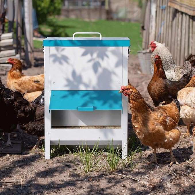10L Automatic Chicken Feeder Metal No Waste Poultry Feeder Gravity Fed Self Feeding Large Chicken Food Dispenser with Lockable Lid and Rain Cover