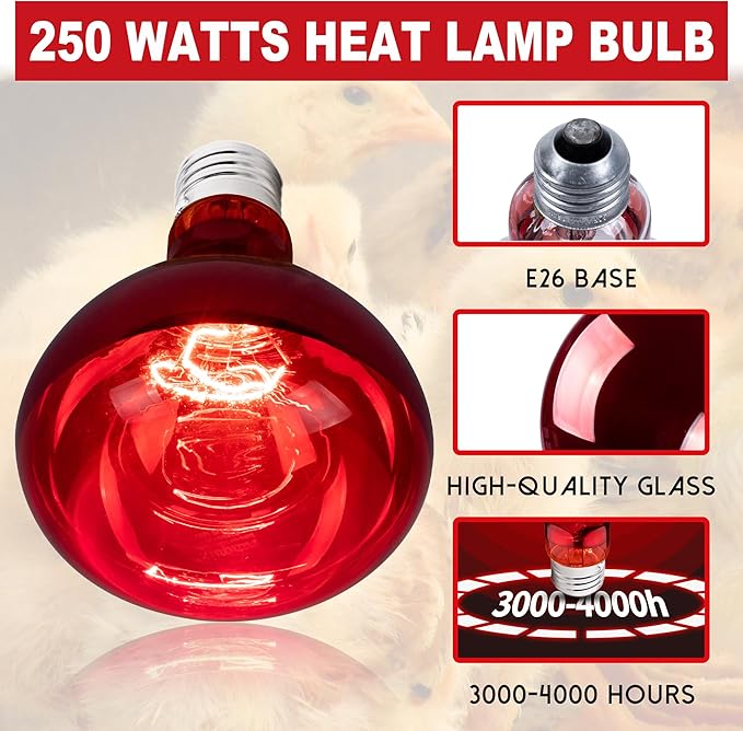 250 Watt Heat Lamp Bulbs for Chicks, R40 Heat Lamp for Chickens, Infrared Heat Bulbs for Brooder Heater, 250W Incandescent Heat for Pet, Bathroom, Food (2 Pack)