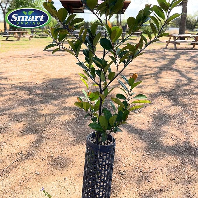 15" Tree Trunk Protectors, Stackable Spiral Tree Guards, Adjustable Width Bark Protection from Weed Eaters, Deer & Rodents, Tall Sapling & Vineyard Vine Protectors, Durable Plastic (6, Slate)
