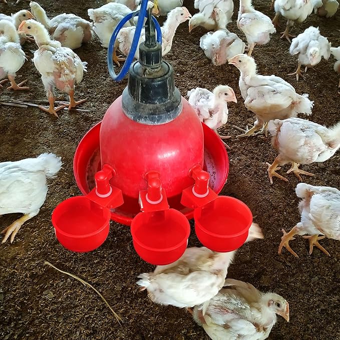 Patelai Chicken Water Cups, Chicken Waterer Cups Summer Water Feeder Cup 3/8 Inch Thread Automatic Filling Waterer Poultry Drinking Bowl for Duck Turkey Bunny(Red,48 Pieces)