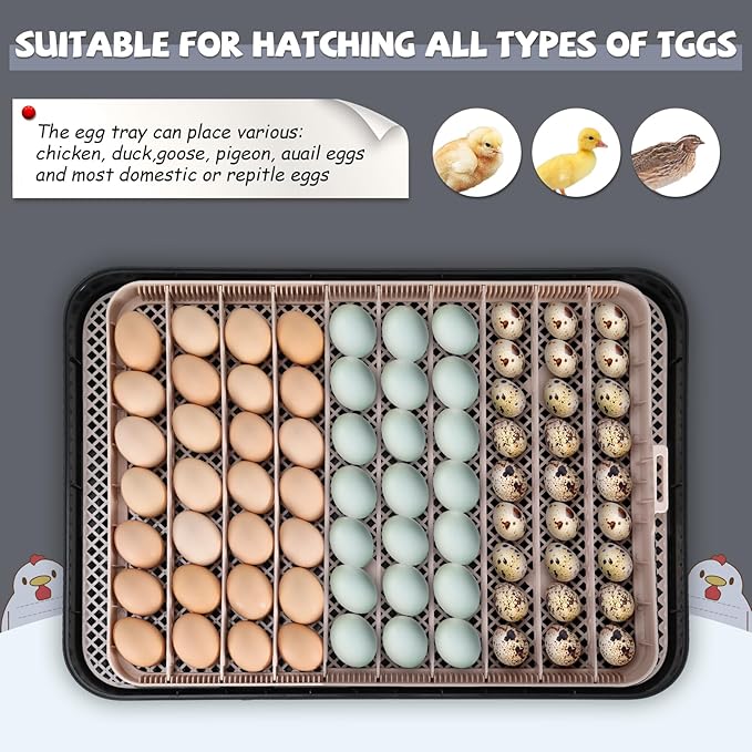 Sailnovo 70 Egg Incubator for Hatching Eggs with Auto Egg Turning and Auto Humidification, Temperature Control, Egg Candler, Large Incubator for Chicken, Duck, Goose, Pigeon, Quail, Parrot Eggs, Grey
