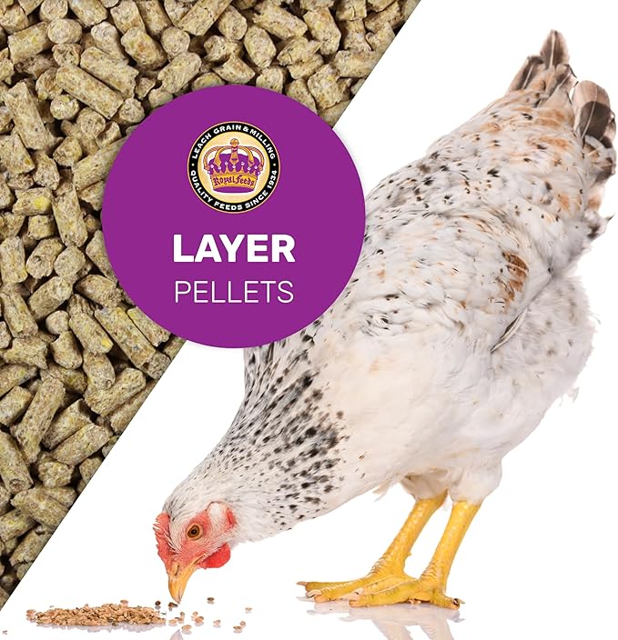 LEACH GRAIN & MILLING CO. 16% Protein Layer Pellets 25 lbs - Chicken Food for Laying Hens, Premium Feed for Chicken, Duck & Game Bird, Support Healthy Shells & Complete Daily Nutrition for Your Hens