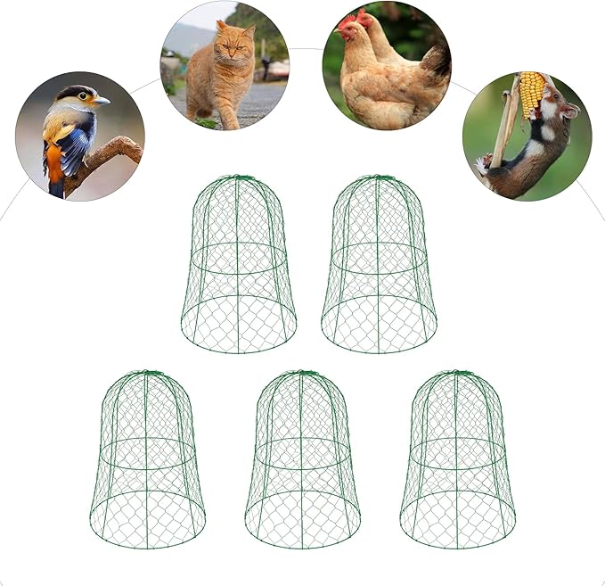 YIYIBYUS Garden Chicken Wire Cloche, 12.99" Diameter x 15.75" Height Plant Protective Covers Metal Cage Plant Protector Cover for Gardens, Parks, Yards, Balconies, Farms (5pcs, Green)