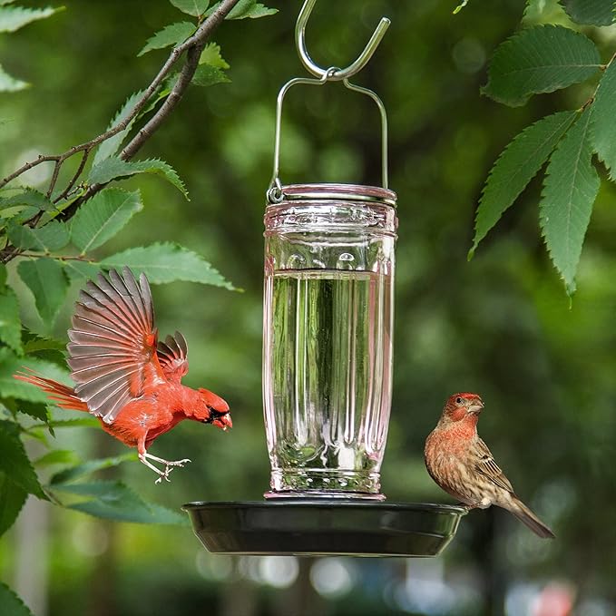Kingsyard Glass Bird Water Dispenser for Outdoor, 16 Oz, Bird Water Feeder with Metal Hanging for Garden Yard Fence Decoration Hummingbird Cardinal Bluebird Finch, Pink