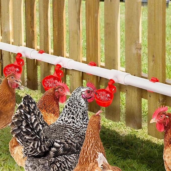 Complete Set of Piped Automatic Poultry Drinking System Accessories with PVC tee, Poultry Drinker Accessories, Chicken Drinking System Accessories.(Note: Only one tee Fitting is Included)