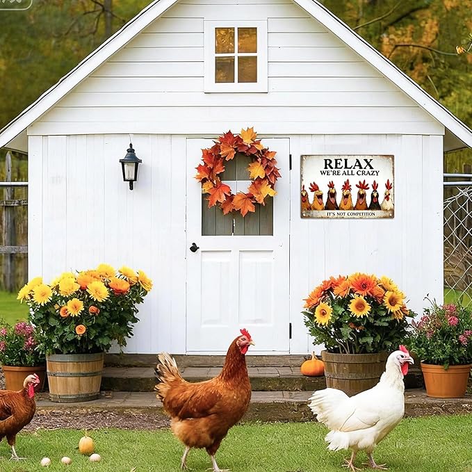 Funny Chicken Coop Signs - Vintage Sign Metal Tin “Relax We're All Crazy”For Chicken Lovers Gifts Outdoor Home Farm Chicken Wall Art Decor 8x12 Inch
