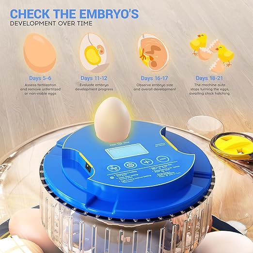 Incubator for Chicken Eggs,18 Eggs Smart Incubator with Automatic Egg Turning and Humidity Control,Egg Incubator with Automatic Water Bottle Refill & Timing Function for Chicken,Ducks,Goose,Pigeon