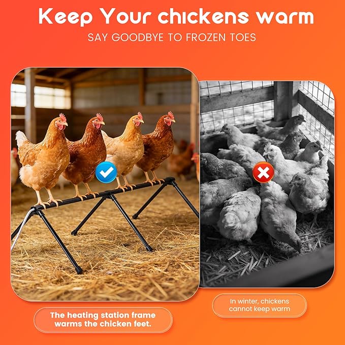 Heated Chicken Perch for Winter Chicken Coop Heater with 24H Timer & Temperature Adjustable Prevent Frozen Toes Chicken Coop Accessories With 2 Heated Roosting Bars for Chick Bird Duck Pigeon Parrot