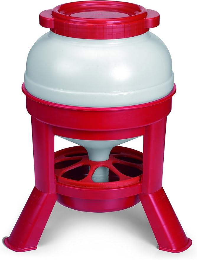 Little Giant® Plastic Dome Feeder | Heavy Duty Plastic Gravity Fed Poultry Feed Container Tank | Backyard Poultry for Hobbyists, Farmers and Ranchers | 35 LB