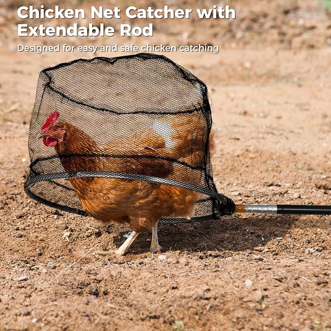 OMISTAR Chicken Net Catcher Set 5 PCS - Poultry Catching Net Set, Retractable Chicken Net, Chicken Catcher Farm Tools, Includes 2 Extendable Rods, Net, Hook, 2 Treat Bags, Natural Wood Swing Toy