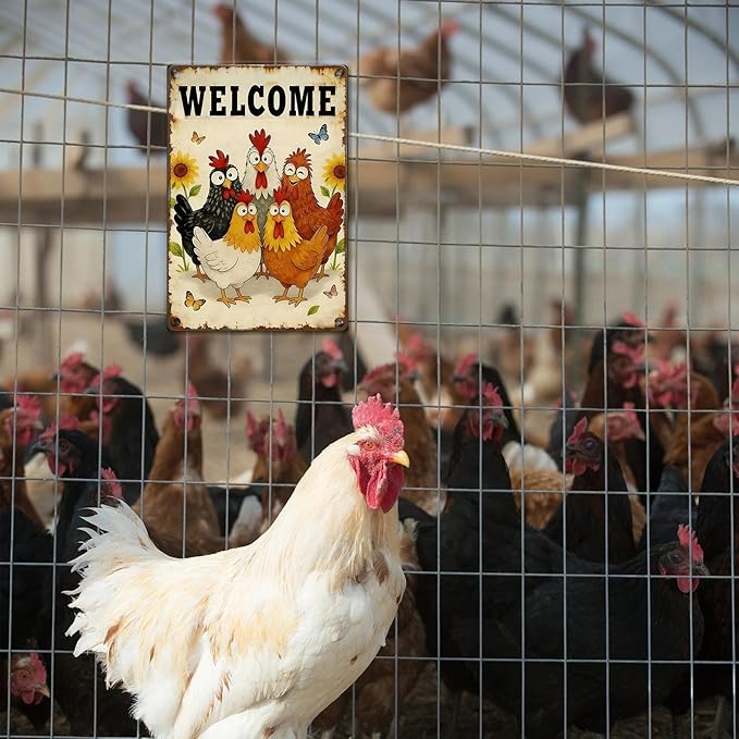 Funny Chicken Signs - Vintage Chicken Coop Sign Metal Welcome Tin Signs For Chicken Lovers Gifts Outdoor Home Farm Wall Art Decor 8x12 Inch