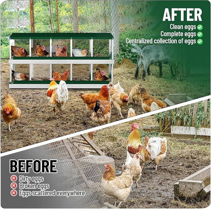 Metal Chicken Nesting Box, 10 Compartments, Rollout Egg Collection, Large Vented Holes, Perch Included, Wall Mount or Free Standing Laying Box for Hens and Chickens - Green