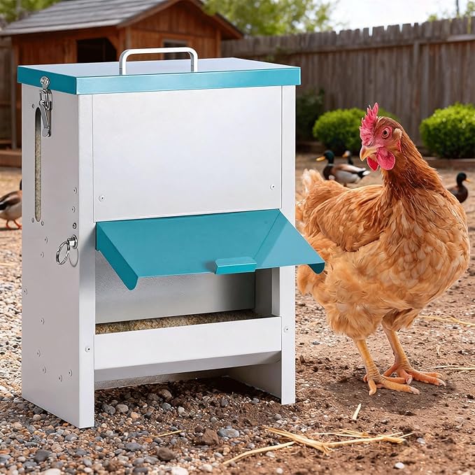 10L Automatic Chicken Feeder Metal No Waste Poultry Feeder Gravity Fed Self Feeding Large Chicken Food Dispenser with Lockable Lid and Rain Cover