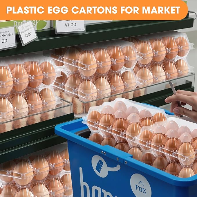 40 Pack Plastic Egg Cartons Cheap Bulk, 1 Dozen Clear Empty Egg Cartons for Chicken Eggs 3x5 Grids, Reusable Egg Carton for Family, Chicken Farm, Markets Display