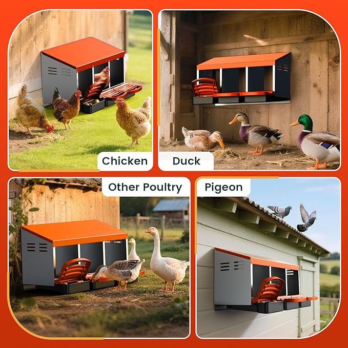 Chicken Nesting Boxes, Roll Away Laying Nest Box for Hens, Galvanized Steel with Removable Egg Drawer, Protects Eggs, Easy Egg Collection, for Chicken Coop, 3 Compartments