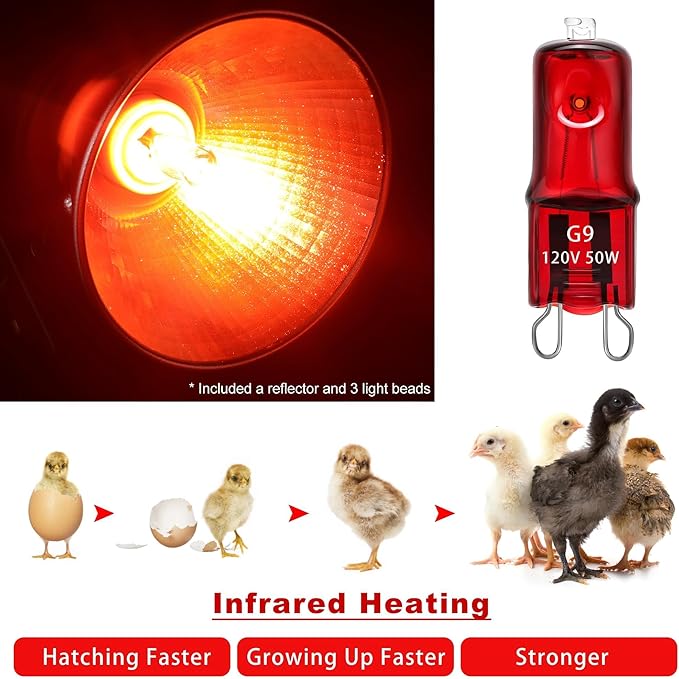 Heat Lamp for Chickens Coop Tiny Chick Brooder, Infrared Flood Light Red Bulbs Replaceable E26 Base 50 Watt Chick Heater for Reptile Pets Duckling Poultry Livestock