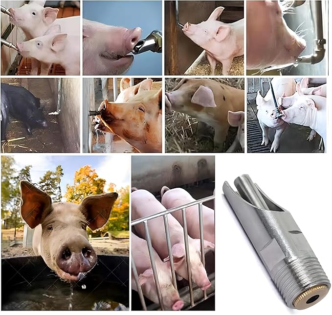 Pack of 10 Stainless Steel NPT 1/2" Automatic Pig Nipple Drinker for Sows Piglets Drinking