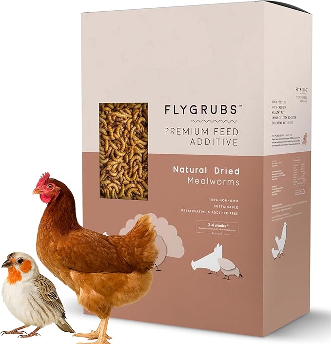 FLYGRUBS 20 lbs Dried Mealworms for Chickens – 85X More Calcium,Non-GMO,High-Protein Feed & Molting Supplement for Hens, Ducks, Turkeys, Wild Birds, Additive & Preservative Free