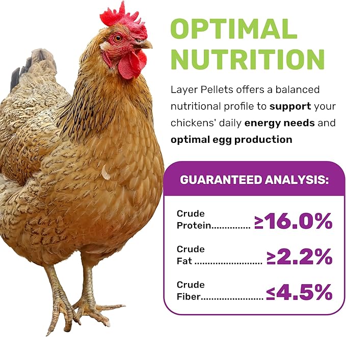 LEACH GRAIN & MILLING CO. 16% Protein Layer Pellets 25 lbs - Chicken Food for Laying Hens, Premium Feed for Chicken, Duck & Game Bird, Support Healthy Shells & Complete Daily Nutrition for Your Hens