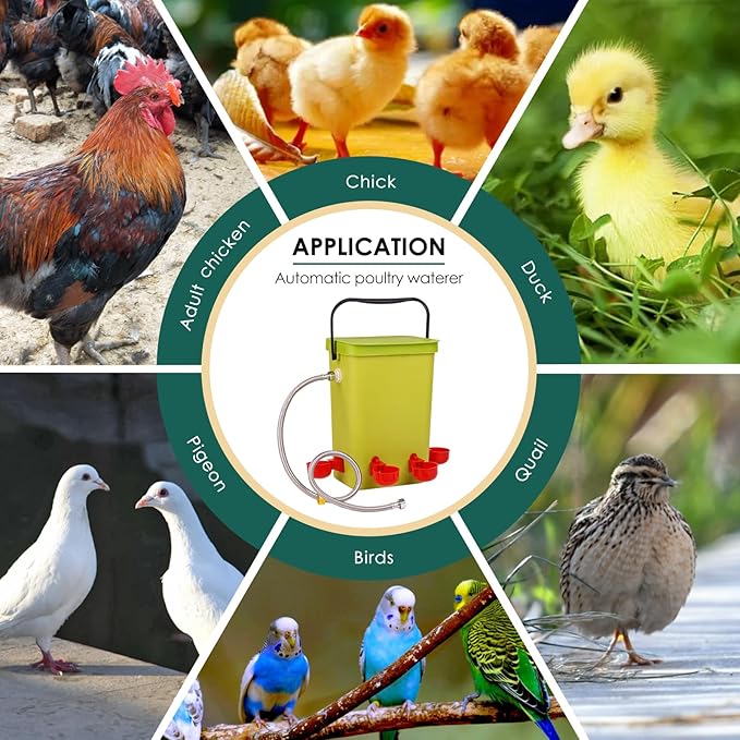 Automatic Chicken Waterer with Float Valve, 3.2 Gallon Hanging Poultry Waterer with 6 Water Cups, Large Duck Quail Turkey Goose Chicken Coop Water Dispenser