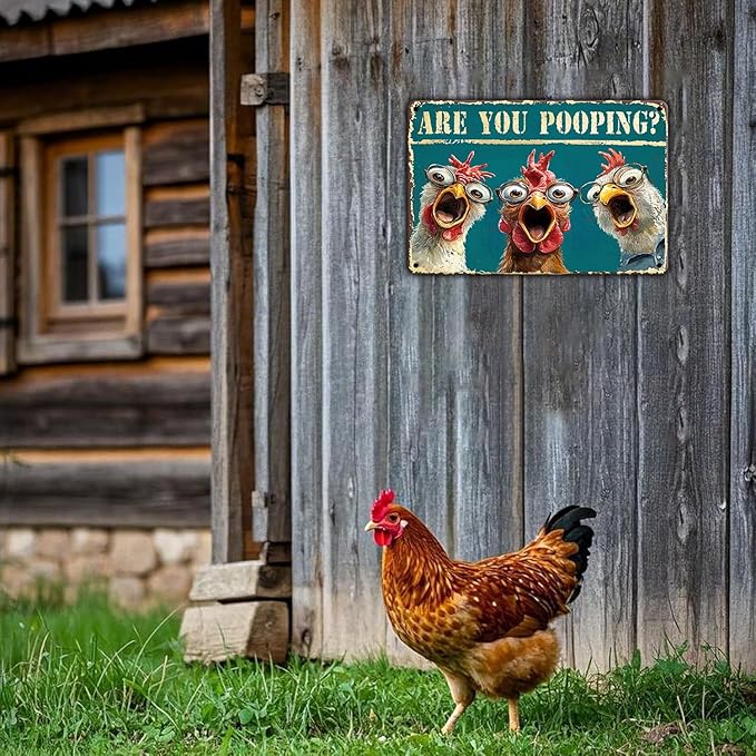 Chicken Metal Signs Funny Are You Pooping Chicken Wall Decor For Home Toilet Art Humorous Bathroom 12x8 Inch