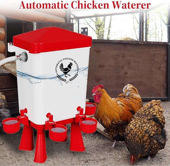 Chicken Waterer, 3 Gallons Automatic Chicken Waterers with 5ft Pipe, Float Controlled Automatic Poultry Water Feeder, 5 Chicken Waterer Cups (Red, 3 Gallons)