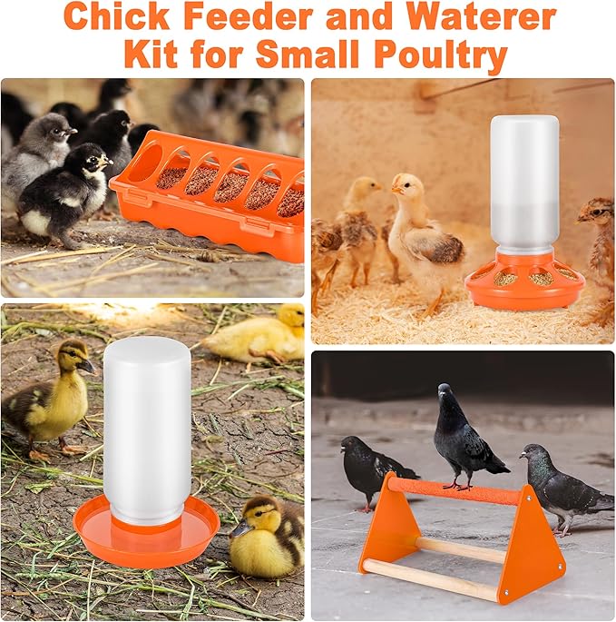 Plastic Baby Chicken Feeder and Waterer Set (Orange)