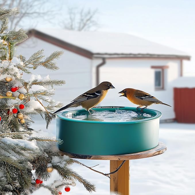 Heated Chicken Waterer, 125OZ Large Capacity Poultry Water Heater for Chicken Coop Hens Turkey Goose Duck Pigeon Poultry Birds Dog Cat Drinker in Winter
