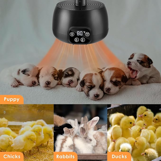 Enhon Chicken Coop Heater with LED Lighting, Adjustable Temperature, Timer & Safety Features – 5 Ft Long Cable Chicken Coop Heating Lamp Perfect for Small Animals and Reptiles(1 Pack)