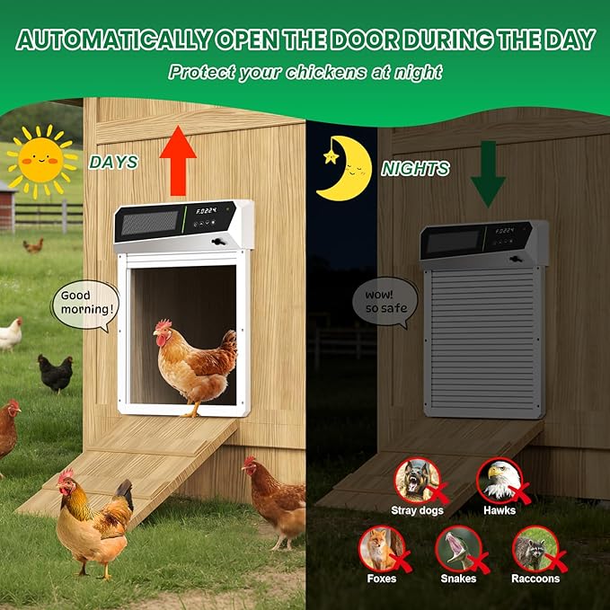Solar Automatic Chicken Coop Door with Built-in Solar Power & Battery Backup and Timer & Manual Control， Anti-Pinch Safety System, Large LCD Display, Weatherproof Aluminum Auto Chicken Coop Door