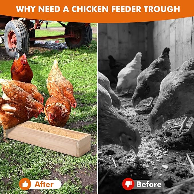 Chicken Feeder, 4 Pack 20” Wooden Large Capacity Eco-Friendly Feed Trough for 24 Chickens Simultaneous Feeding, Healthy Poultry Feeder for Chicken Duck Bird Livestock (Natural Wood)