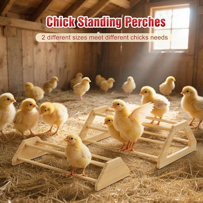 Pawaboo 7-in-1 Chicken Brooder Box for Chick Starter Kit, Includes Chicks Perches, Chicken Feeders, Chick Waterers, Chickens Feeding Spoon, Chicks Supplies (Brooder Set), Red + Wood Color