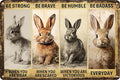 Rabbit Decor Bunny Metal Tin Signs Funny Home Wall Decor Rabbit Wall Art Rabbit Christmas Gifts Bunny Room Decor Motivational Quotes Sign 8x12 Inch