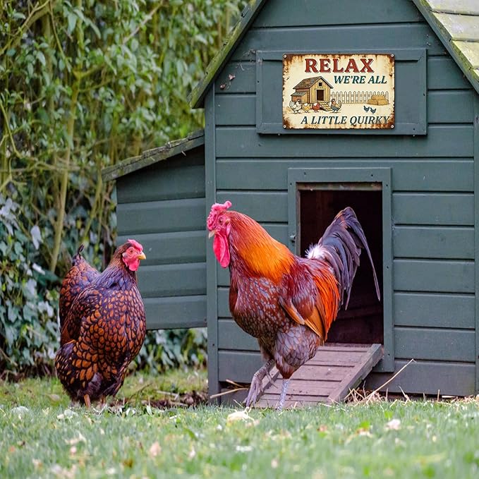 Funny Chicken Metal Sign Outdoor, Aluminum Farmhouse Wall Decor for Coop Door or Yard Area, Fluffy Humor Country Living Style, Rustic 8x12 Inch Gift