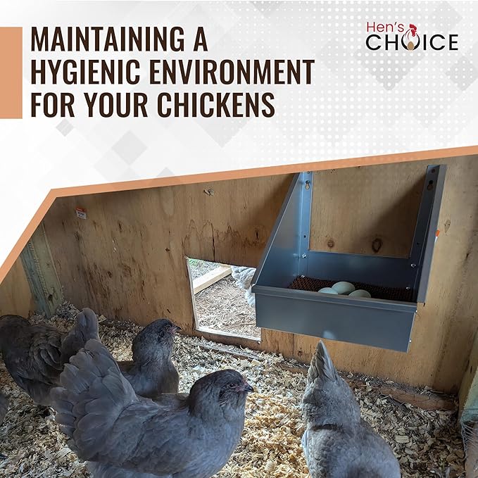 Hen's Choice™ Premium Single Chicken Nest Box with Nesting Pad (1 Pack)