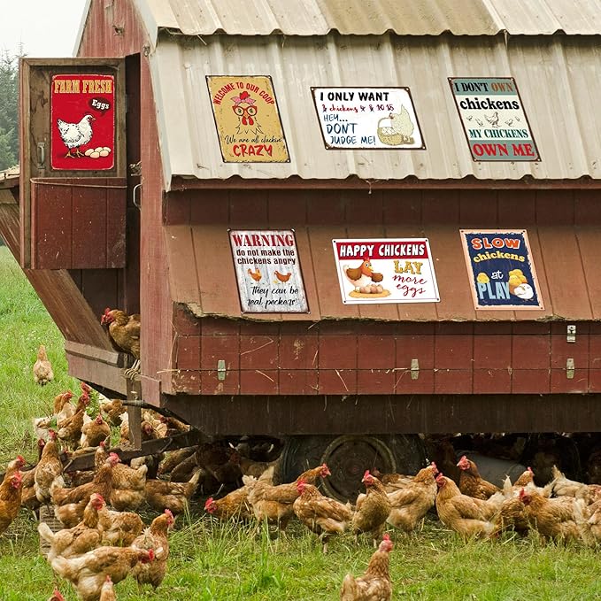 Tandefio 12 Pack Chicken Coop Signs 8 x 12 Inch Funny Metal Coop Signs Outdoor Decor Vintage Personalized Farm Yard Accessories for Home Kitchen Decor Chicken Lovers Gifts