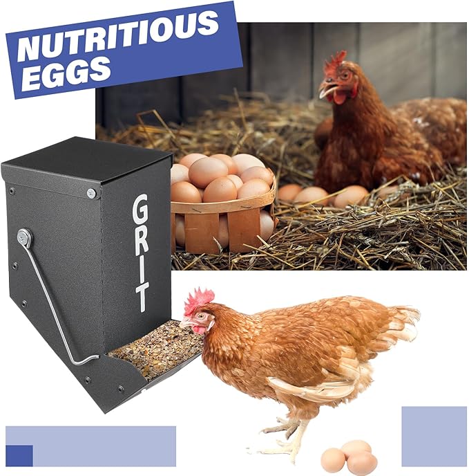 Zonon 2 Pcs Chicken Grit Feeder Metal Automatic Oyster Shell Feeder with Lid Hanging Gravity Poultry Chicken Coop Accessories for Hens Chicks Cages Wall Pillar, Navy Blue and Grey
