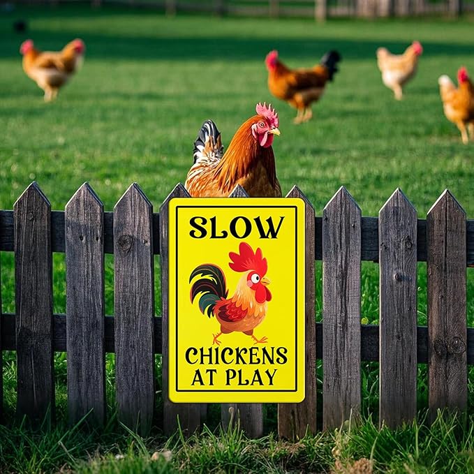 Vintage Slow Tin Sign Chickens at Play Metal Sign Funny Chicken Coop Yard Poster Home Kitchen Coffee Garden Wall Decor 12x16 Inch