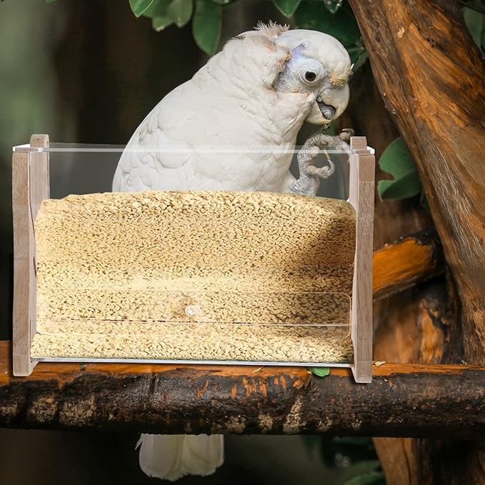 Rutin Chicken Automatic Food Feeder Clear Acrylic Parrot Bird Feeding Container Multi Use for Rutin Chickens Easy to Capacity for Home Pet Store
