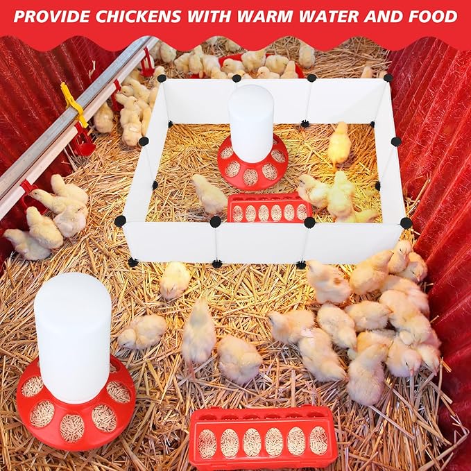 5 Pack Winter Chicken Brooder Box Starter Heated Chicken Waterer with Chick Perch Set 0.8 Gallon Heated Poultry Fountain, Flip Top Poultry Feeder, 2.9 Pounds Chick Feeder for Coop Chicks