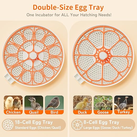 18 Egg Incubator, Automatic and Adjustable Egg Turning, Egg Candler, Temperature and Humidity Control, Hatch Day, 2 Size Egg Tray, Automatic Water Refill, Hatching Chicken Quail Duck Turkey Goose Bird