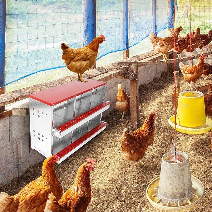Chicken Nesting Boxes - 6 Compartment Metal Poultry Nest Box Wall Mount for Chickens, Hens, Ducks - Easy Egg Collection - Large Holes Chicken Coop Equipment (6 Compartment)