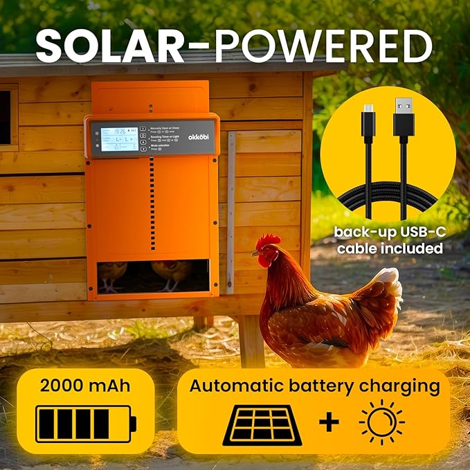 Okkobi Automatic Chicken Coop Door Solar Powered - LCD Display - Chicken Coop Door with Remote Control, Light Sensor & Timer - Anti-Pinch Function - 5-Year Protection - Autumn Ember