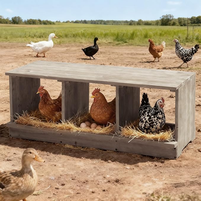 Outvita Nesting Boxes for Chickens 3 Compartments, Wood Chicken Nesting Box Wall Mount, Versatile Use Nest Box for Chicken Coop, Easy to Assemble for Chickens, Hens, Ducks