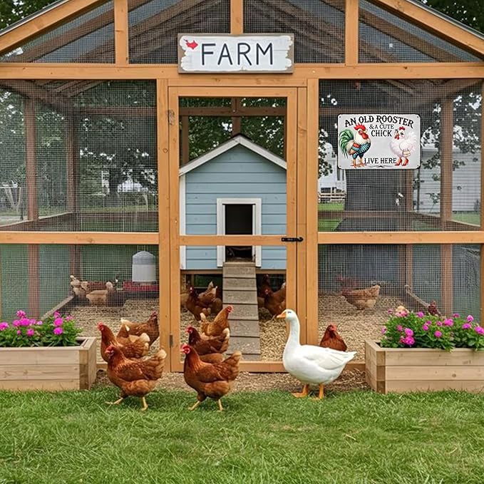 Chicken Lover Gift Idea - Humorous Metal Coop Sign, Farm Animal Tin Art for Home, Kitchen, Garden, 8x12 Inch Vintage Style Decorative Plaque with Holes
