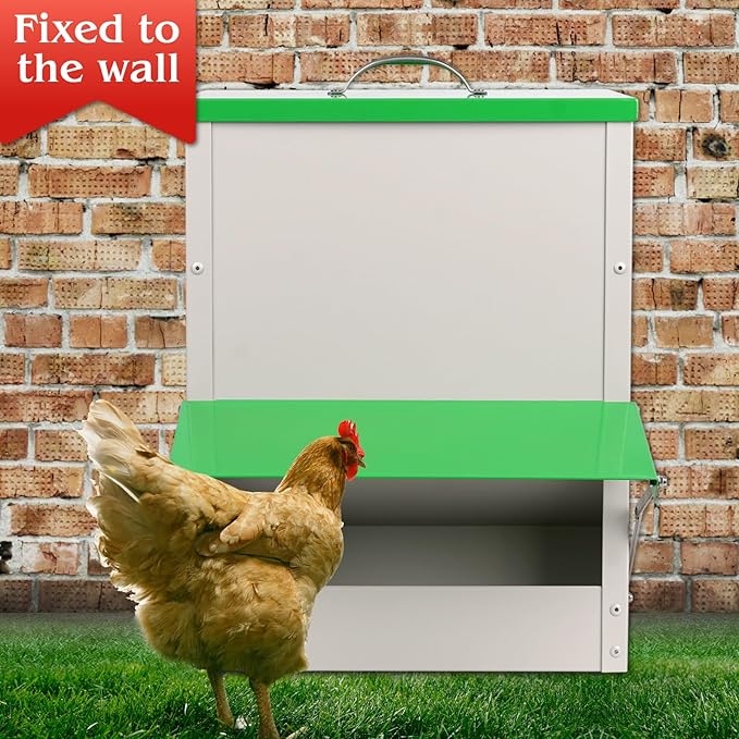 25 Lbs Automatic Chicken Feeder No Waste for Coop, Automatic Large Outdoor Duck Feeder and Poultry Feeder Rainproof Preventing Small Animals Suitable for Chickens Ducks Turkeys