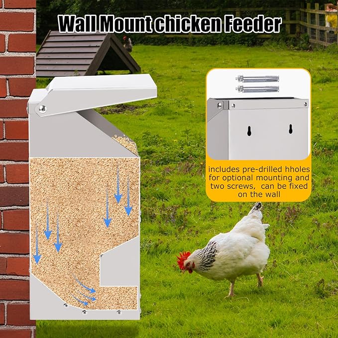 Automatic Chicken Feeder 10lb Metal Chicken Feeders with Lid No Waste Duck Feeder Hanging Chicken Feeder Trough with Scoop for Chickens Ducks Goose Poultry (Small Size)