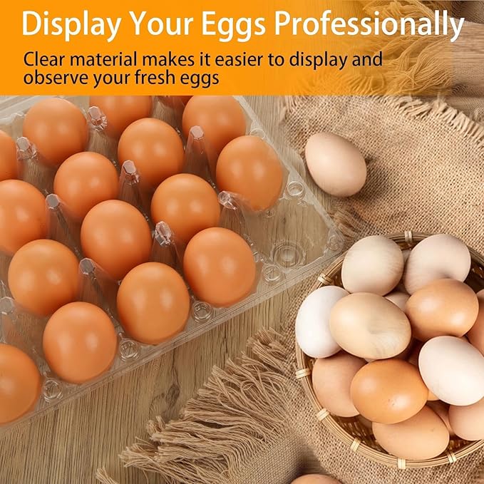 36 PCS Plastic Egg Cartons Cheap Bulk 24 Count Clear Blank Egg Cartons with Free Labels Holds up to 24 Eggs Securely Reusable Egg Carton for Family Pasture Chicken Farm Market Display, 4x6 Grids