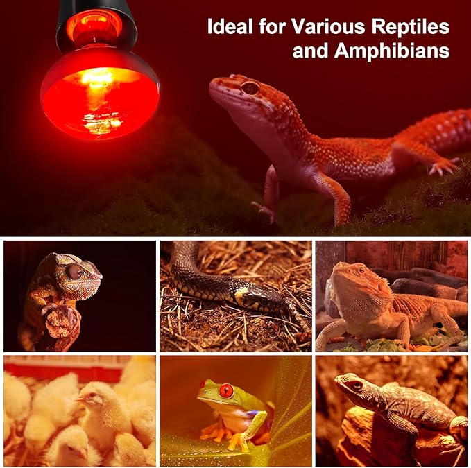 MIXJOY 150W Infrared Heat Lamp Bulbs, 2 Pack Reptile Infrared Heat Emitter Red Heat Lamp Bulbs Basking Light Bulbs for Reptiles, Bearded Dragon, Lizard, Tortoise, Chickens, Pets